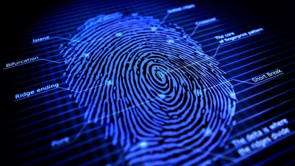 What Does Fingerprint Environment Simulation mean in Anti-detect Browser?